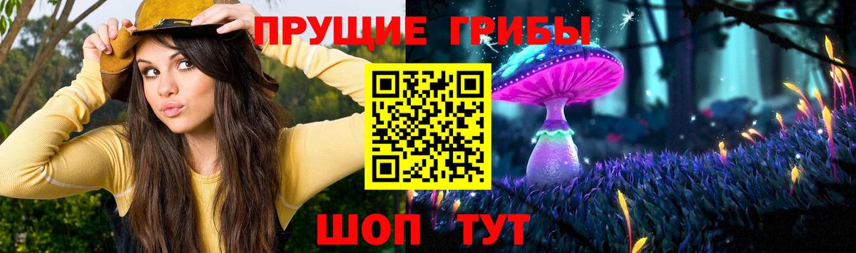 Псилоцибиновые грибы Psilocybe Долгопрудный